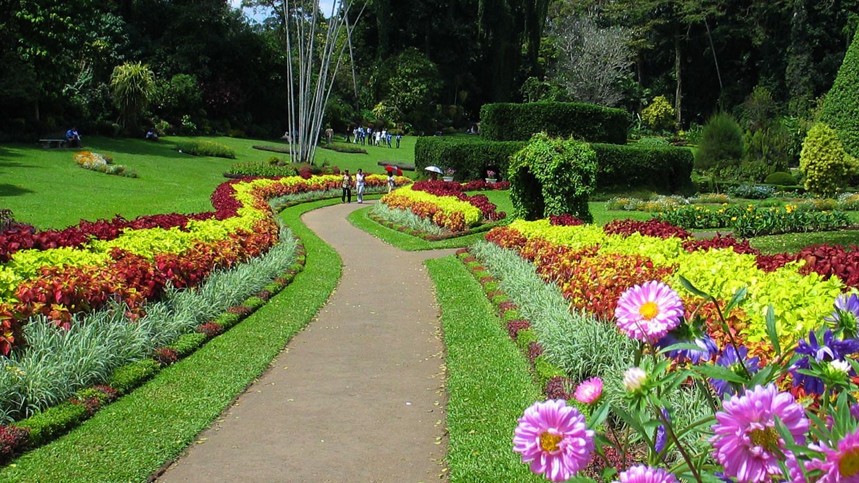 Peradeniya Royal Botanical Gardens Image 1