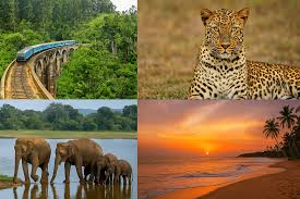 Ella → Yala Safari & Coastal Drop-off