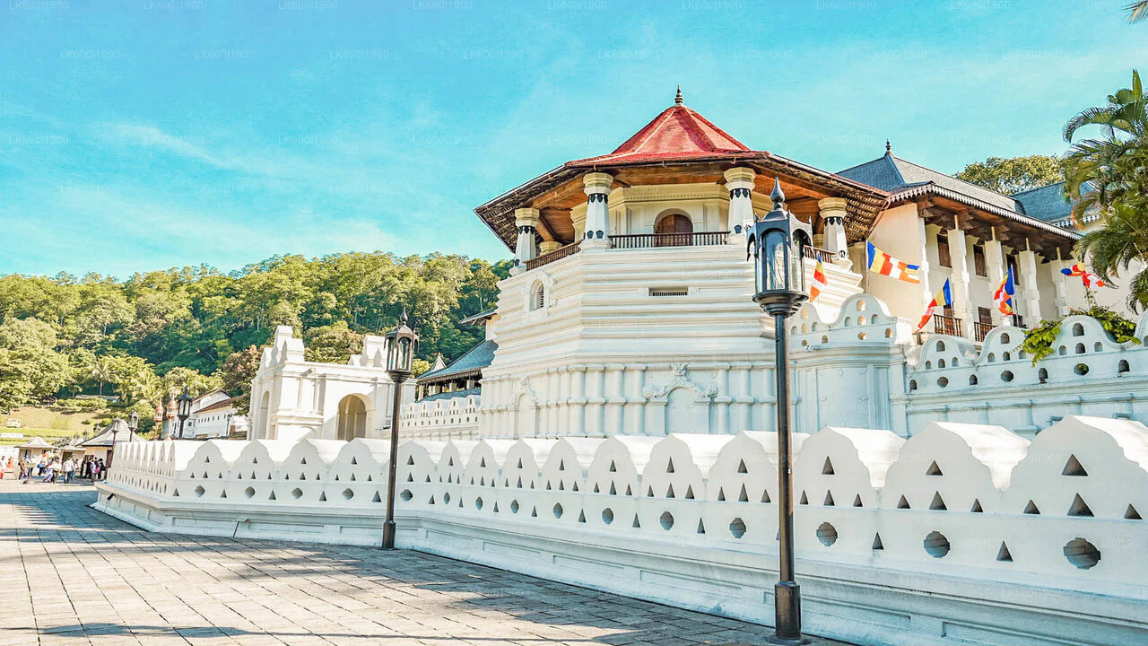 Temple of the Sacred Tooth Relic & Kandy Lake Image 1